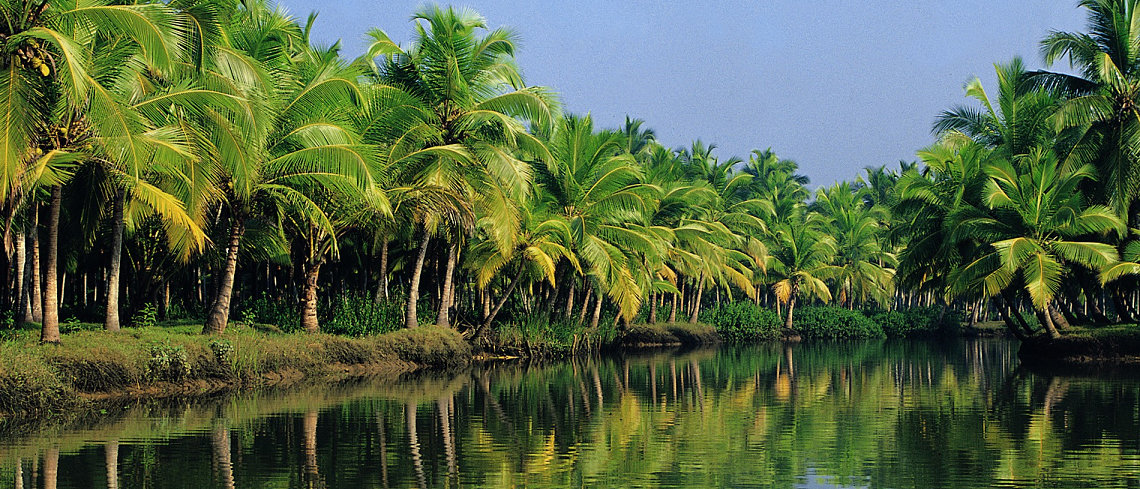 Kerala-Backwater