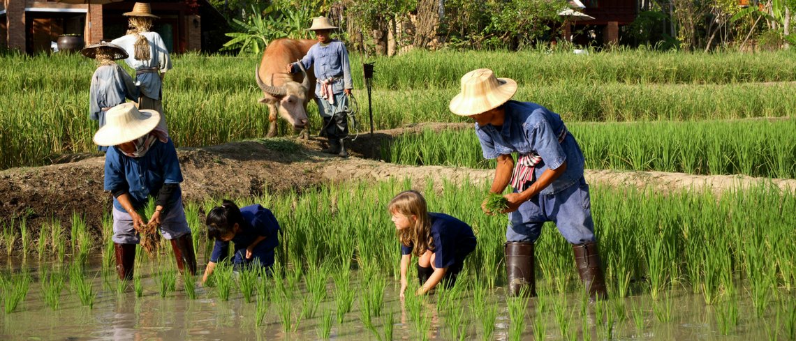 family holiday in cambodia