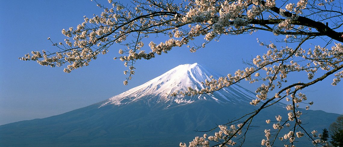 japan holidays in spring