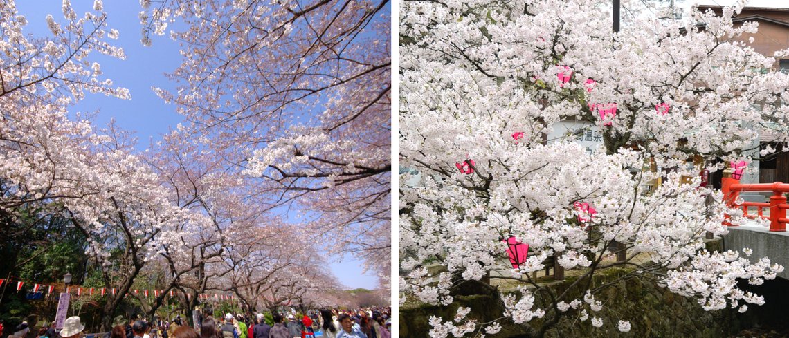 Ueno Park japan holidays