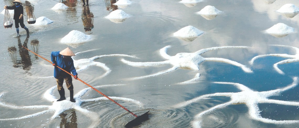 Vietnam Salt fields