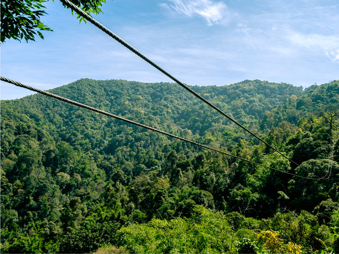 Once in a lifetime experiences in Thailand